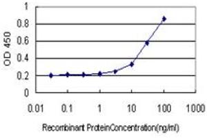 Detection limit for recombinant GST tagged NR0B1 is approximately 1ng/ml as a capture antibody. (NR0B1 antibody  (AA 361-470))