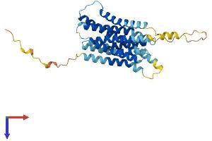 AlphaFold protein structure predicition of Human Recombinant SLC39A1 Protein, UniprotID Q9NY26 (SLC39A1 Protein (AA 1-324) (His tag))