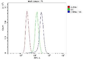 Flow Cytometry analysis of Jurkat cells using anti-CTNNA1 antibody (ABIN7600057). (CTNNA1 antibody  (AA 143-292))