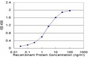 Detection limit for recombinant GST tagged CRYGD is approximately 0. (CRYGD antibody  (AA 75-174))