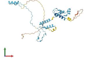AlphaFold protein structure predicition of Mouse Recombinant Ift46 Protein, UniprotID Q9DB07