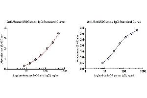 ELISA image for Anti-MOG IgG ELISA Kit (ABIN1882535) (Anti-MOG IgG ELISA Kit)