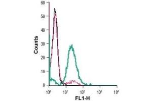 Cell surface detection of μ-Opioid Receptor in live intact mouse BV-2 microglia cells: (black line) Cells. (Mu Opioid Receptor 1 antibody  (Extracellular, N-Term))