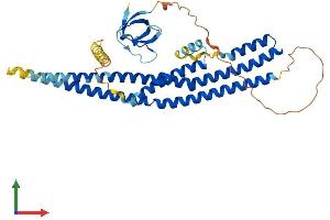 AlphaFold protein structure predicition of Human Recombinant SH3GLB2 Protein, UniprotID Q9NR46