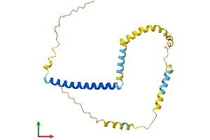 Protein Structure (PS) image for Tumor Protein D52-Like 1 (TPD52L1) (AA 1-204) protein (His tag) (ABIN7544545)