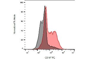 Surface staining of murine splenocytes cells with anti-CD197 (4B12) PE. (CCR7 antibody  (PE))