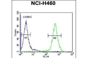 ACD10 Antibody (Center) (ABIN654760 and ABIN2844444) flow cytometric analysis of NCI- cells (right histogram) compared to a negative control cell (left histogram). (ACAD10 antibody  (AA 393-421))