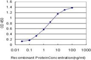 Detection limit for recombinant GST tagged MYH9 is approximately 0. (Myosin 9 antibody  (AA 131-220))