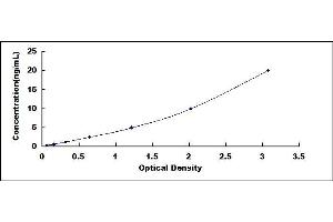 Typical standard curve (Claudin 2 ELISA Kit)