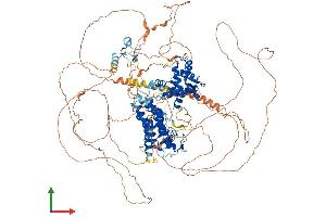 AlphaFold protein structure predicition of Mouse Recombinant Rc3h2 Protein, UniprotID P0C090 (RC3H2 Protein (AA 1-1187) (His tag))