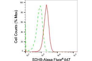 Flow cytometric analysis of SDHB expression in C2C12 cells using SDHB antibody (ABIN7800453), 1:2,000).