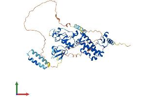 Protein Structure (PS) image for Differentially Expressed in FDCP 8 Homolog (DEF8) (AA 1-512) protein (His tag) (ABIN7547069)