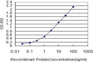 Detection limit for recombinant GST tagged RNF181 is approximately 0. (RNF181 antibody  (AA 90-153))