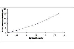 COL1A2 ELISA Kit