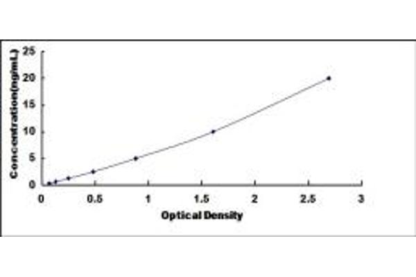 COL1A2 ELISA Kit