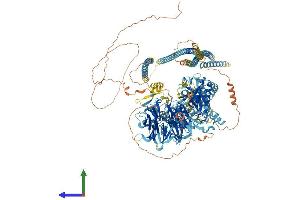 AlphaFold protein structure predicition of Mouse Recombinant Cdc42bpg Protein, UniprotID Q80UW5