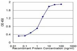 Detection limit for recombinant GST tagged DNAJB2 is approximately 0.