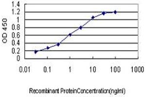 Detection limit for recombinant GST tagged FBLIM1 is approximately 0. (FBLIM1 antibody  (AA 270-373))