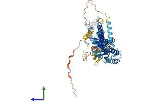 Protein Structure (PS) image for CHMP Family, Member 7 (CHMP7) (AA 1-453) protein (His tag) (ABIN7553432)