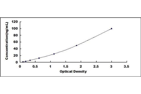 DSPP ELISA Kit