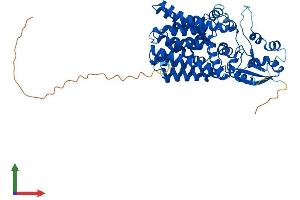 Protein Structure (PS) image for Phosphatidylinositol Glycan Anchor Biosynthesis, Class B (PIGB) (AA 1-542) protein (His tag) (ABIN7561598)