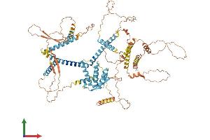 AlphaFold protein structure predicition of Mouse Recombinant Akap3 Protein, UniprotID O88987 (AKAP3 Protein (AA 1-864) (His tag))