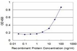 Detection limit for recombinant GST tagged ZBTB25 is approximately 3ng/ml as a capture antibody. (ZBTB25 antibody  (AA 331-435))