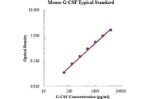 ELISA image for Colony Stimulating Factor 3 (Granulocyte) (CSF3) ELISA Kit (ABIN3198533) (G-CSF ELISA Kit)