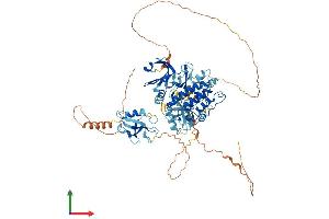 Protein Structure (PS) image for Doublecortin-Like Kinase 1 (DCLK1) (AA 1-740) protein (His tag) (ABIN7547063)