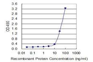 Sandwich ELISA detection sensitivity ranging from 10 ng/mL to 100 ng/mL. (CD40 (Human) Matched Antibody Pair)