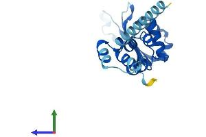 AlphaFold protein structure predicition of Mouse Recombinant Fbxo36 Protein, UniprotID Q9CQ24 (FBXO36 Protein (AA 1-188) (His tag))