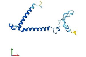 Protein Structure (PS) image for Phosphatidylinositol Glycan Anchor Biosynthesis, Class P (PIGP) (AA 1-132) protein (His tag) (ABIN7561500)