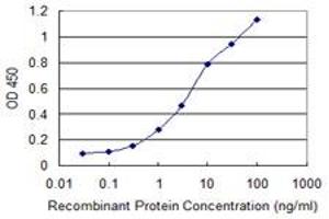 Detection limit for recombinant GST tagged CREBBP is 0. (CBP antibody  (AA 951-1050))