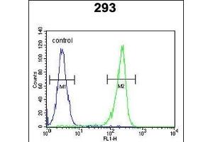 UNC50 Antibody (N-term) (ABIN6244031 and ABIN6578966) flow cytometric analysis of 293 cells (right histogram) compared to a negative control cell (left histogram). (UNC50 antibody  (N-Term))