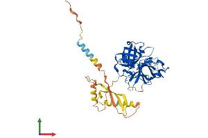 AlphaFold protein structure predicition of Mouse Recombinant Tmprss11a Protein, UniprotID Q3UQ41 (TMPRSS11A Protein (AA 1-389) (His tag))