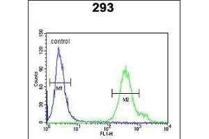 REG3A Antibody (N-term) (ABIN653158 and ABIN2842726) flow cytometric analysis of 293 cells (right histogram) compared to a negative control cell (left histogram). (REG3A antibody  (N-Term))