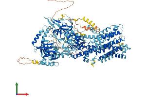 AlphaFold protein structure predicition of Human Recombinant ATP9B Protein, UniprotID O43861 (ATP9B Protein (AA 1-1147) (His tag))