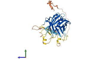 AlphaFold protein structure predicition of Mouse Recombinant Plscr2 Protein, UniprotID Q9DCW2 (PLSCR2 Protein (AA 1-307) (His tag))