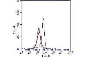 RAW264. (TLR4 antibody)