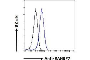 ABIN184802 Flow cytometric analysis of paraformaldehyde fixed HeLa cells (blue line), permeabilized with 0. (IPO7 antibody  (C-Term))