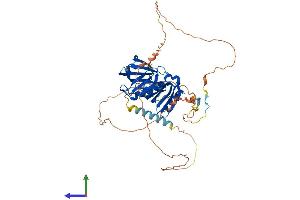 Protein Structure (PS) image for Docking Protein 7 (DOK7) (AA 1-504) protein (His tag) (ABIN7547206)