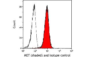 anti-Met Proto-Oncogene (MET) (C-Term) antibody