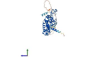Protein Structure (PS) image for Differentially Expressed in FDCP 8 Homolog (DEF8) (AA 1-448) protein (His tag) (ABIN7560302)