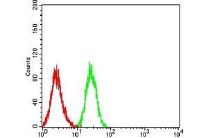 Flow cytometric analysis of HL-60 cells using CD49D mouse mAb (green) and negative control (red). (ITGA4 antibody  (AA 833-977))