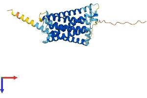 AlphaFold protein structure predicition of Mouse Recombinant Mrgprb4 Protein, UniprotID Q91ZC0 (MRGPRB4 Protein (AA 1-321) (His tag))