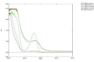 Image no. 1 for Dopamine (DA) protein (BSA) (ABIN1880102) (Dopamine Protein (DA) (BSA))