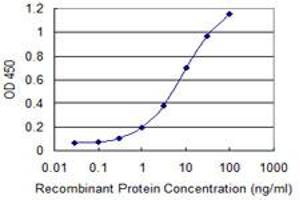 Detection limit for recombinant GST tagged MPST is 0. (MPST antibody  (AA 1-100))