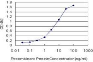 Detection limit for recombinant GST tagged STIP1 is approximately 0. (STIP1 antibody  (AA 445-543))