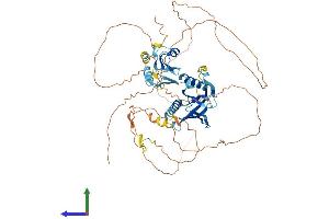 AlphaFold protein structure predicition of Human Recombinant SHC4 Protein, UniprotID Q6S5L8 (SHC4 Protein (AA 1-630) (His tag))