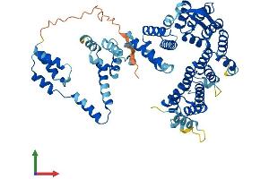 AlphaFold protein structure predicition of Human Recombinant NELFCD Protein, UniprotID Q8IXH7 (TH1-Like Protein (TH1L) (AA 1-590) (His tag))